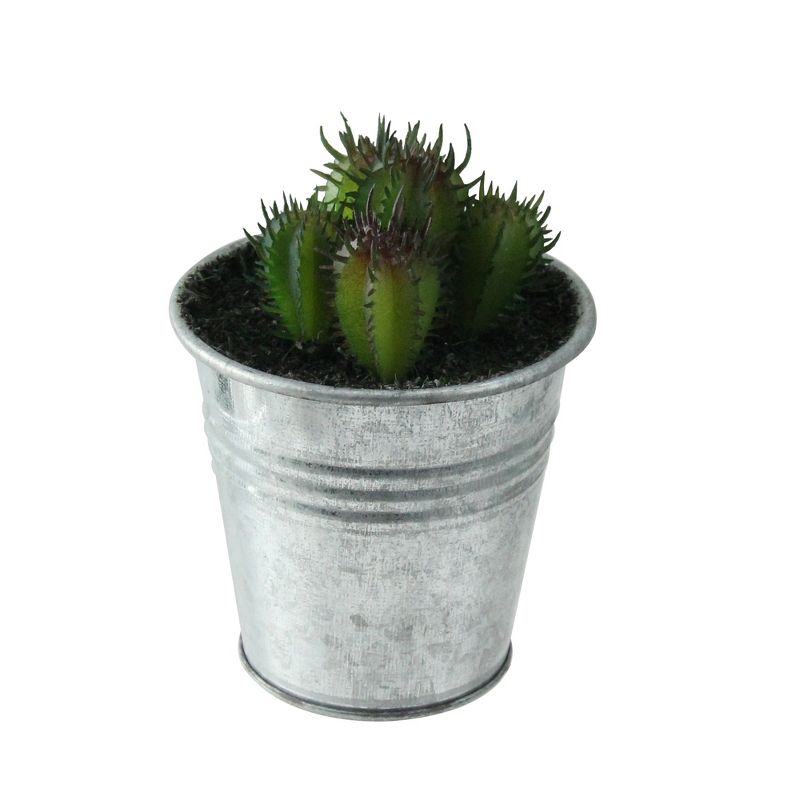 Northlight 4" Echeveria Succulent in Watering Can Artificial Potted Plant - Green/Silver, 4 of 5