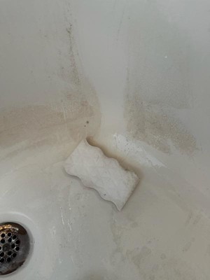 Guest review image 4 of 4, zoom in