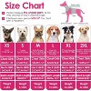 Dog Sweaters Girls Boys, Stretchy Turtleneck Pet Knitwear for Small Pets, Warm Fall Doggie Sweatwer, Clothes for Yorkie, Chihuahua, Teacup - 2 of 4