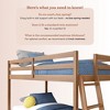 Bear Plywood Twin/Twin Low Bunk - 4 of 4