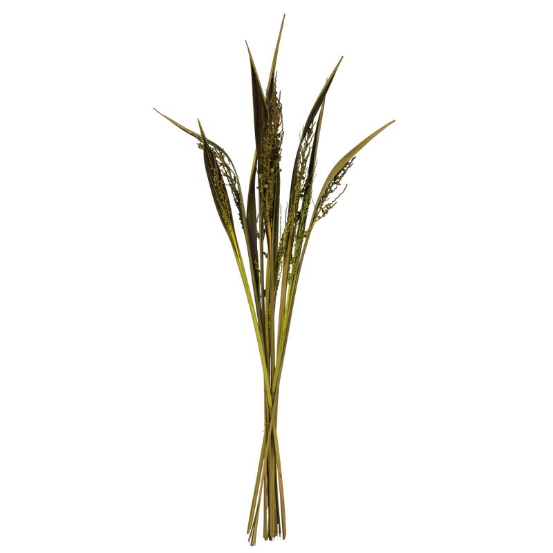 Vickerman 36" Bahia Spears with Seeds, Dried 18 Pack, 1 of 6