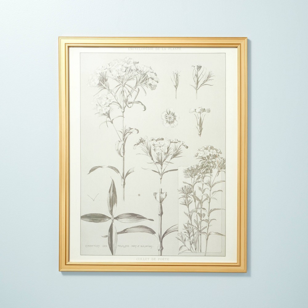 24"x30" Botanical Sketch Framed Wall Art Style 2 - Hearth & Hand™ with Magnolia