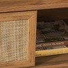 Aino 2 Door Media Stand - MED9619 - Safavieh - 2 of 4