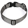 Country Brook Petz Premium Nylon Dog Collar with Metal Buckle for Small Medium Large Breeds - Vibrant 30+ Color Selection - 4 of 4