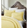 Heirloom 100% Cotton Ultra-Soft Chenille Tufted Lightweight Medallion Design Pillow Sham, All-Season, Machine Washable - 2 of 4