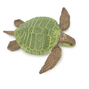 Collectible Wildlife Gifts | Turtle, Green Sea Turtle, Museum Quality, Hand Painted, Rubber Reptile, Realistic, Model,  Toy, Gift,   2"   CH706 BB174 - 1 of 4