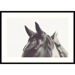 41" x 29" Partner by Emi and Mark Franzen Framed Wall Art Print Black - Amanti Art - 1 of 4