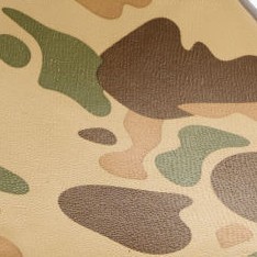 duck camo