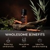 Gya Labs Cinnamon Cassia Essential Oil - 0.34 Fl Oz - 100% Pure Natural Cassia Oil for Hair & Skin, Diffuser, DIY Recipes & Candle Making Scent - 4 of 4