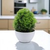 Unique Bargains Artificial Plants Misty Pine Topiary Plastic 3.94"x3.94"x7.48" 1 Pc - 2 of 4