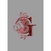 Boy's Harry Potter Gryffindor G Logo Pull Over Hoodie - 2 of 4