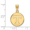 Black Bow Jewelry 10k Yellow Gold Tennessee Volunteers NCAA Medium Pendant - 2 of 3