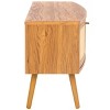 Cielle 2 Door Media Stand - MED9628 - Safavieh - 4 of 4