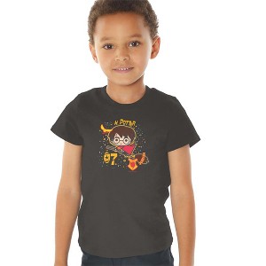 Toddler Boys' Harry Potter H. Potter 07 Quidditch Chibi T-Shirt - 1 of 4