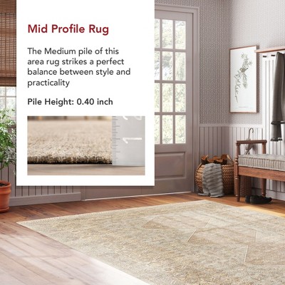 Rosia Khaki and Beige 10' x 14' Wool Blend Tasseled Area Rug