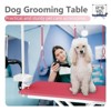 47inch X-Lift Dog Grooming Table with Adjustable Height, Mesh Tray, Tool Organizer & Noose – Foldable Pet Grooming Station for Home Use - 3 of 4