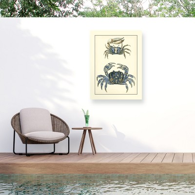 "Antique Blue Crabs Ii" Outdoor Canvas