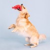PetShop by Fringe Studio You're My Lobster Plush Dog Toy - 3 of 4