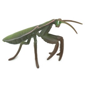 Collectible Wildlife Gifts | Praying Mantis, Mantodea,  Museum Quality, Rubber Insect, Design, Hand Painted,  Toy, Model,   Gift,   5"   CH302 BB181 - 1 of 4