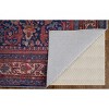 Rawlins Transitional Oriental Red/Blue/Tan Area Rug - 4 of 4