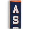 MLB Houston Astros Baseball Vertical Wood Sign Panel - image 4 of 4