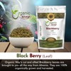 Organic Blackberry Leaf Cut & Sifted 1 Lbs - 2 of 4