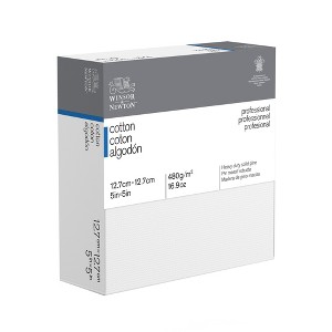 Winsor & Newton Professional Cotton Stretched Canvas Deep Edge - 1 of 1