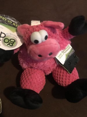 Guest review image 5 of 6, zoom in