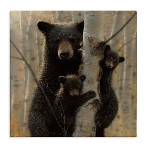 Stupell Industries Forest Black Bear and Cubs, 24" x 24" - 1 of 4