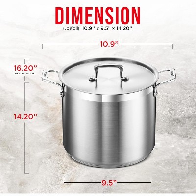 Brushed Stainless Steel Induction Stockpot with Lid and Riveted Handles