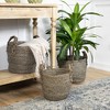 Northlight Set of 3 Dark Brown Round Seagrass Storage Baskets with Braided Handles 13.5" - 2 of 4