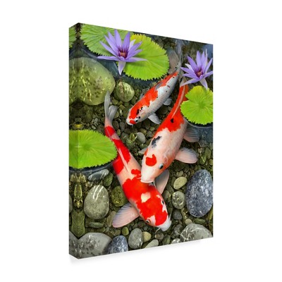 Trademark Fine Art -Howard Robinson 'Koi Under Lily Pads' Canvas Art