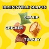 Temptations ShakeUps Clucky Carnival Cat Treats with Chicken Turkey and Catnip - 5.29oz - 3 of 4