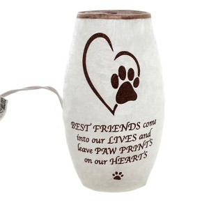 Stony Creek 7.25 In Best Friend Pet Pre-Lit Vase Paw Print Heart Novelty Sculpture Lights - 1 of 4