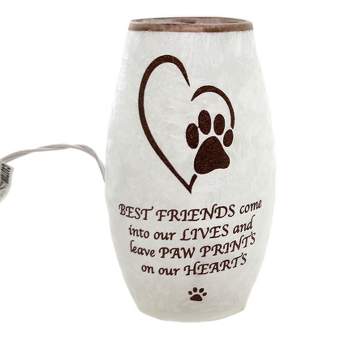 Stony Creek 7.25 In Best Friend Pet Pre-Lit Vase Paw Print Heart Novelty Sculpture Lights