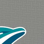 miami dolphins