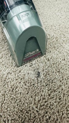 Shark StainForce Portable Cordless Spot & Stain Cleaner with Dual ...