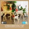 Aghana Digitals Gold Lighted Reindeer Family Set: 3-Piece Outdoor Christmas Decor with 283 Warm - 3 of 4