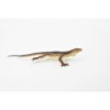 Collectible Wildlife Gifts | Lizard, Dark Brown with Blue Tail, Rubber Reptile Toy, Realistic Figure, Model,   Educational, Gift,    3"     F6064 B380 - 4 of 4