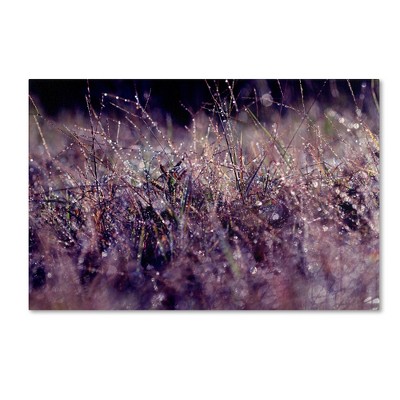 Purple Rain Abstract Framed Canvas Art, 47 x 30 Inch