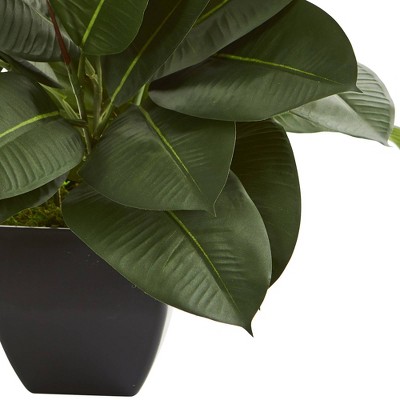 23" Dark Green Silk Oak Ficus Plant in Black Pot