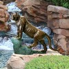 Design Toscano Cougar on a Rock Cast Bronze Garden Statue - 2 of 4