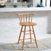Jay Wood Counter Stool - BST1403 - Safavieh - 3 of 4