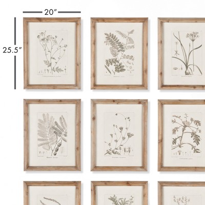 Sepia Botanical Prints with Whitewashed Wood Frames, Set of 9