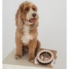 Dexypaws: Super Chew Rings - Beige & Black - 2pc Dog Teething Toys - 3 of 4
