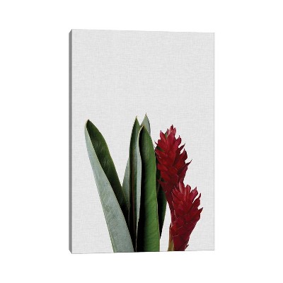 iCanvas Red Flower by Orara Studio Canvas Print Wall Art
