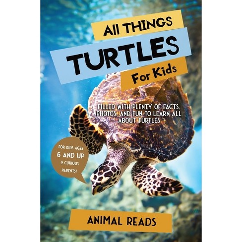 All Things Turtles For Kids - Large Print by Animal Reads (Paperback)