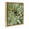 Stupell Industries Green Botanical Succulent Bloom, 18" x 18" - 3 of 4