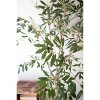 Tall Artificial Olive Tree 63"H – Decorative Greenery in Black Plastic Pot by Kalalou - 3 of 4