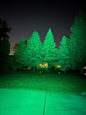 Guest review image 1 of 4, zoom in